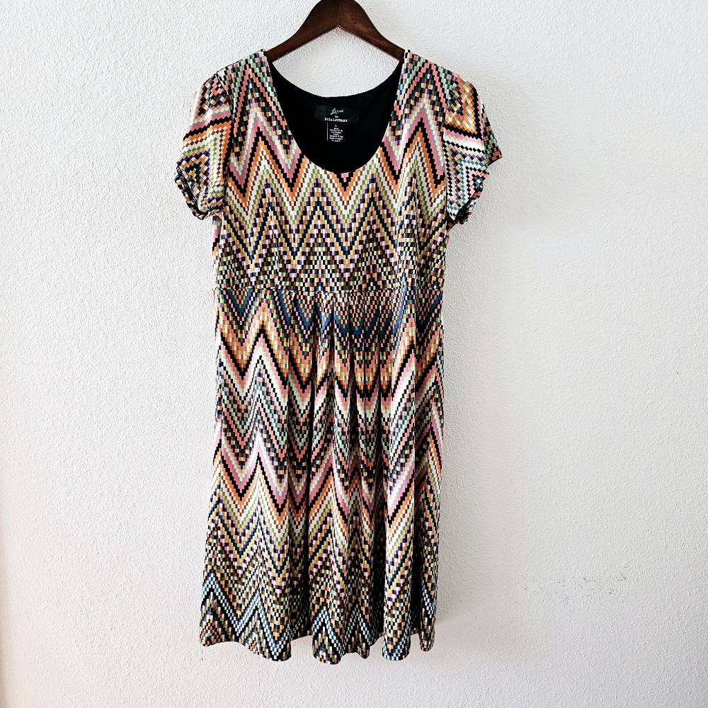 Nina Leonard multicolored dress size L short sleeve pleats pull over
